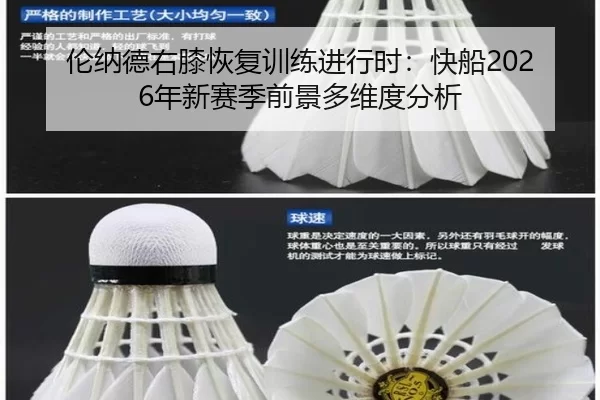lun-na-de-you-xi-hui-fu-xun-lian-jin-xing-shi-kuai-chuan-nian-xin-sai-ji-qian-jing-duo-wei-du-fen-xi-3-709.jpg